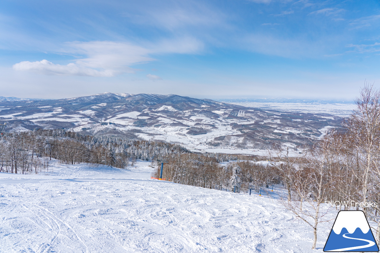 カムイスキーリンクス｜『-13℃』。ここは、道北・旭川。まだまだ続くよ、真冬並みのコンディション！